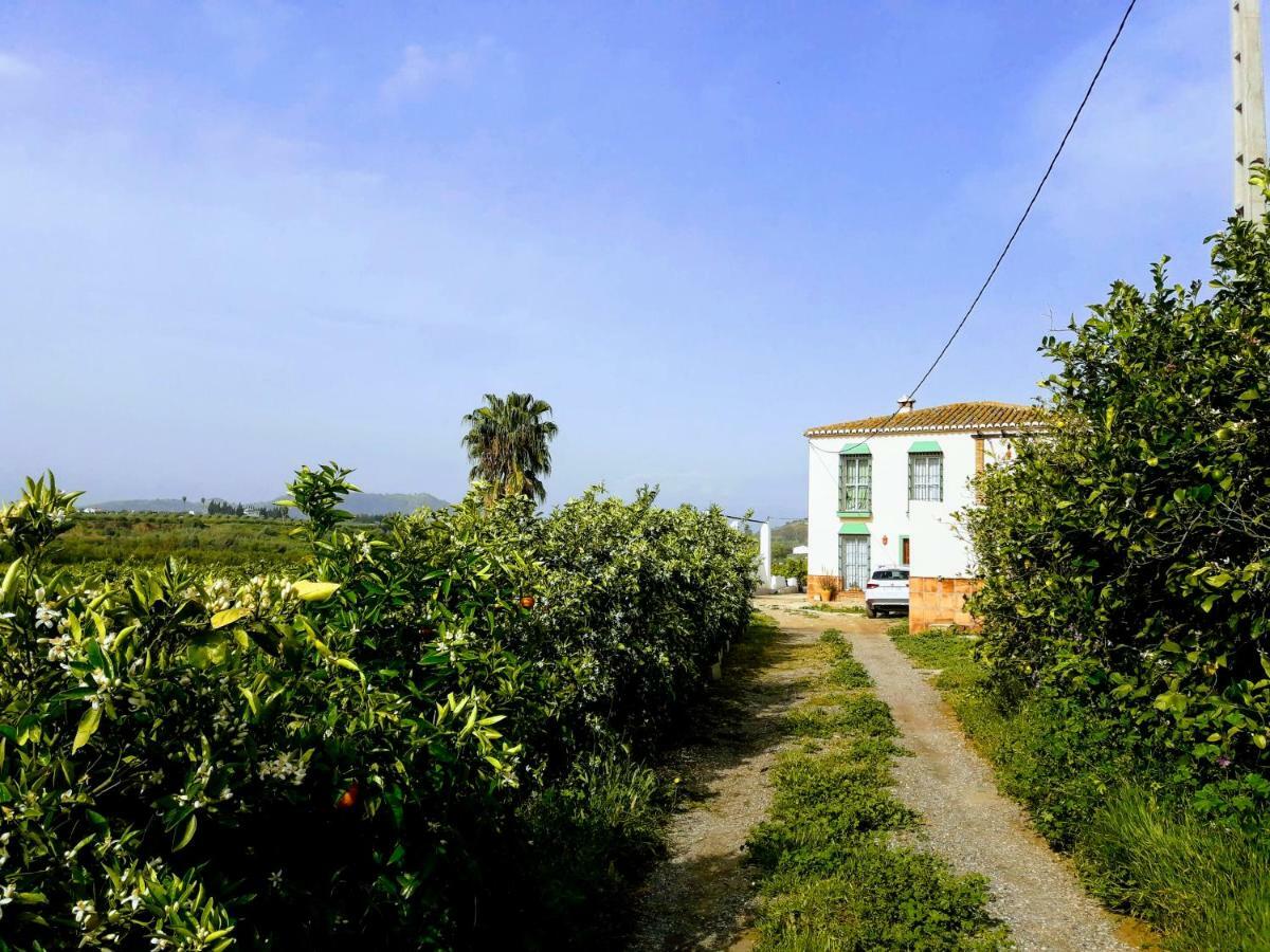 Casa Rural La Estrella Pizarra Exterior foto